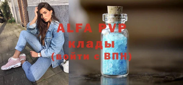 СК Пересвет