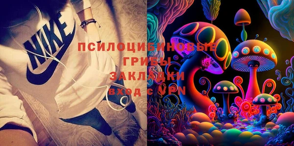 гидра Бронницы