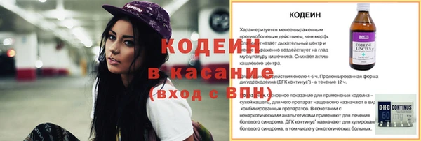 СК Пересвет