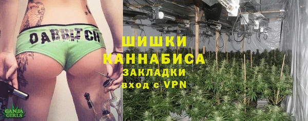 гидра Бронницы