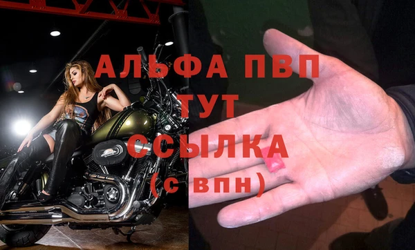 гидра Бронницы