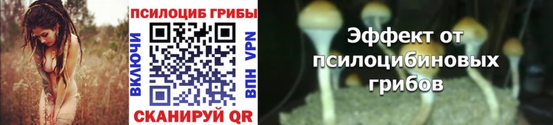 Псилоцибиновые грибы MAGIC MUSHROOMS  Оса 